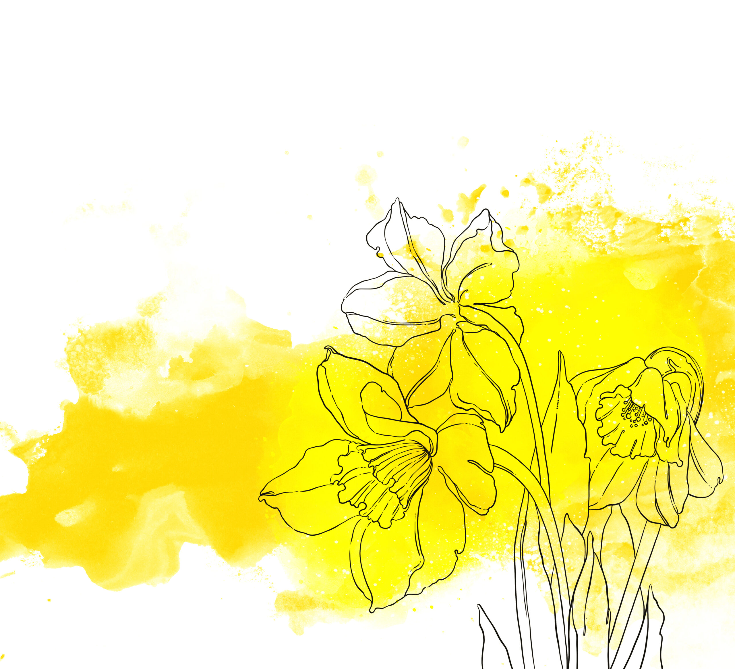 Spring,Daffodils.,Floral,Frame.,Wedding,Collage,,Birthday,,Greating,,Invitation,Card.