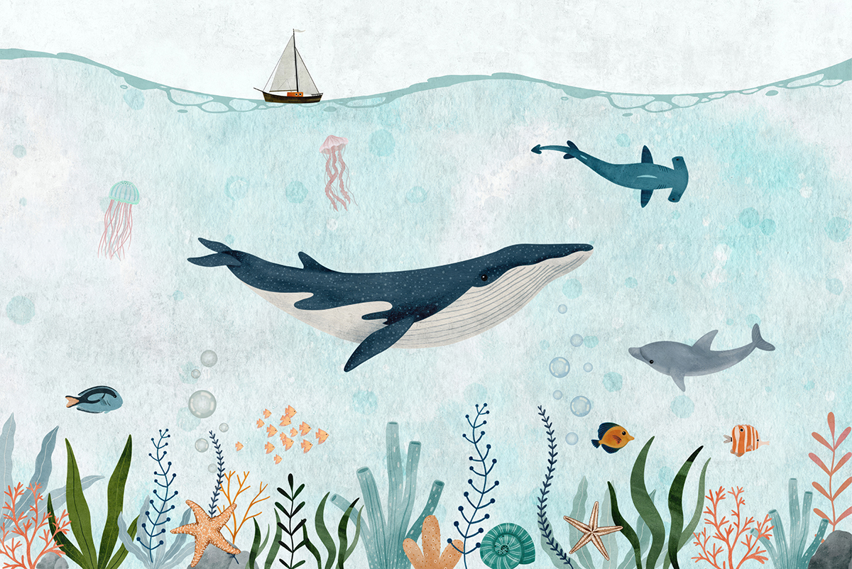 Fototapete Schlafende Delphine – Bild 51