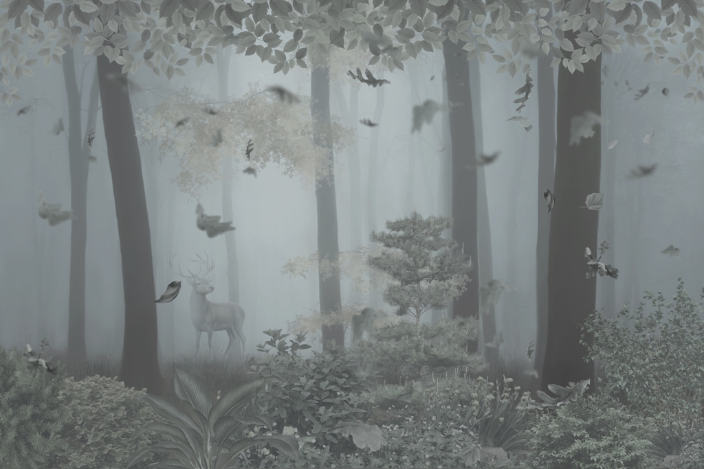 Fototapeta-Ciemny-Las_2142381307