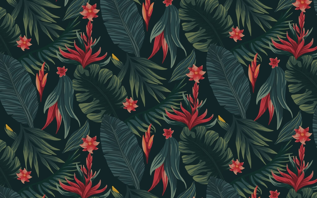 Fototapeta-Czerwiea-Kwiat-w_2090222257