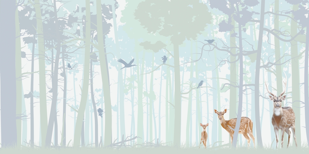 Fototapeta-Rodzina-Jeleni_2102236699