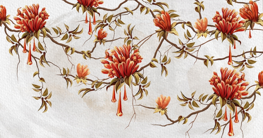 Fototapeta-Rude-Kwiaty-Na-Bialym-Tle_2127507890