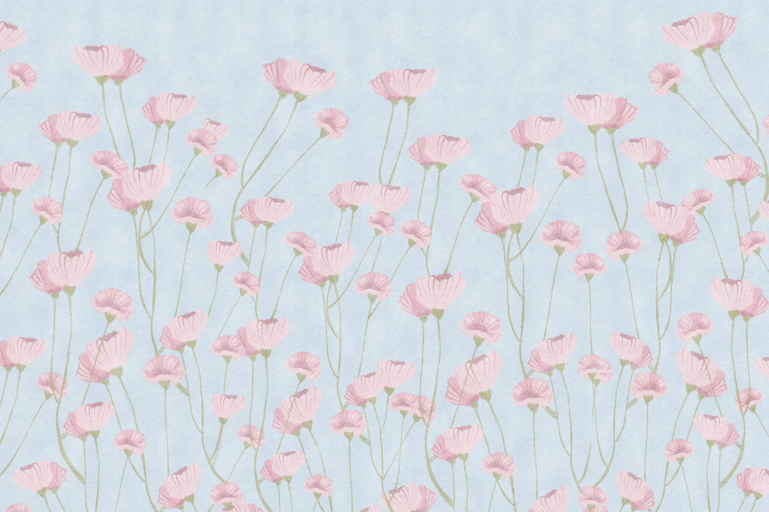 Pink,Flowers.,Beautiful,Wallpaper.,Botanical,Flowers.,Blossom,Flowers.,Wallpaper,For