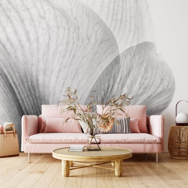 Fototapeta Sekret Płatka