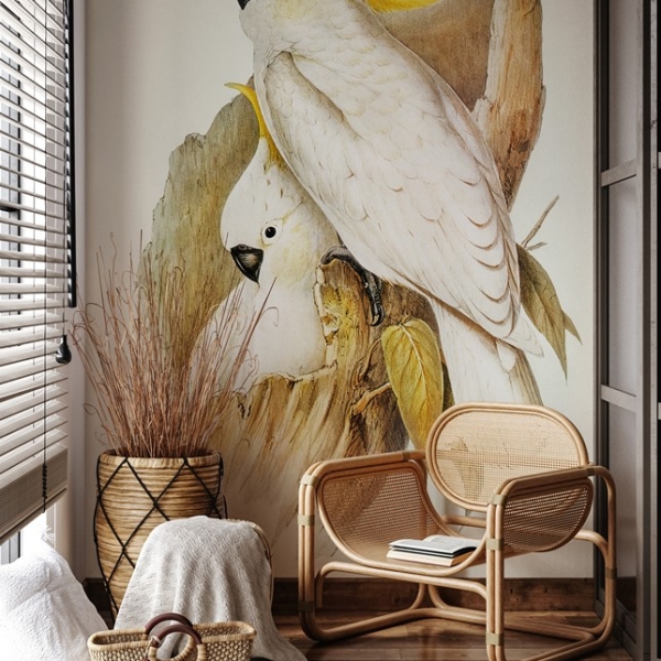 Fototapeta Papużki Nierozłączki