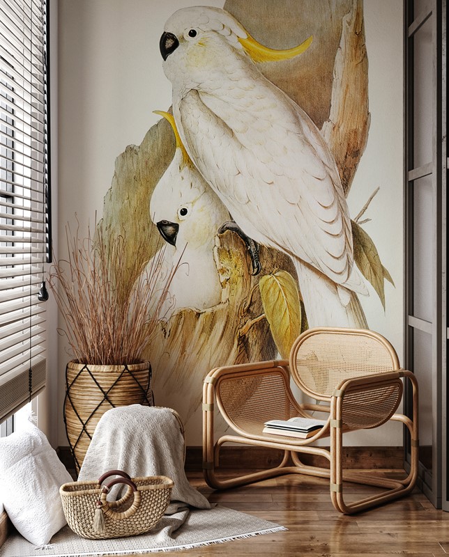 Fototapeta Papużki Nierozłączki